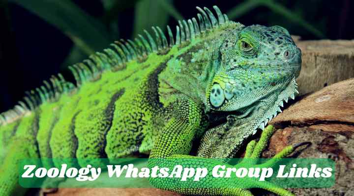 Zoology WhatsApp Group Links